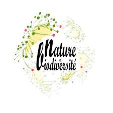 المارطون الوطني الأول الايكولوجي الثقافي الطالبي